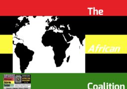 The African Coalition