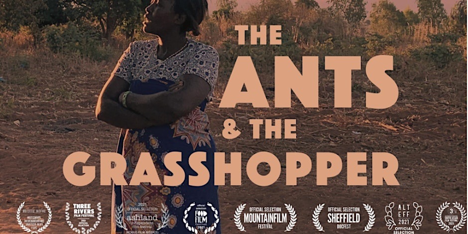 Film Screening The Ants And The Grasshopper Black History Month 2024   Https   Cdn.evbuc .com Images 474277709 274508246322 1 Original 